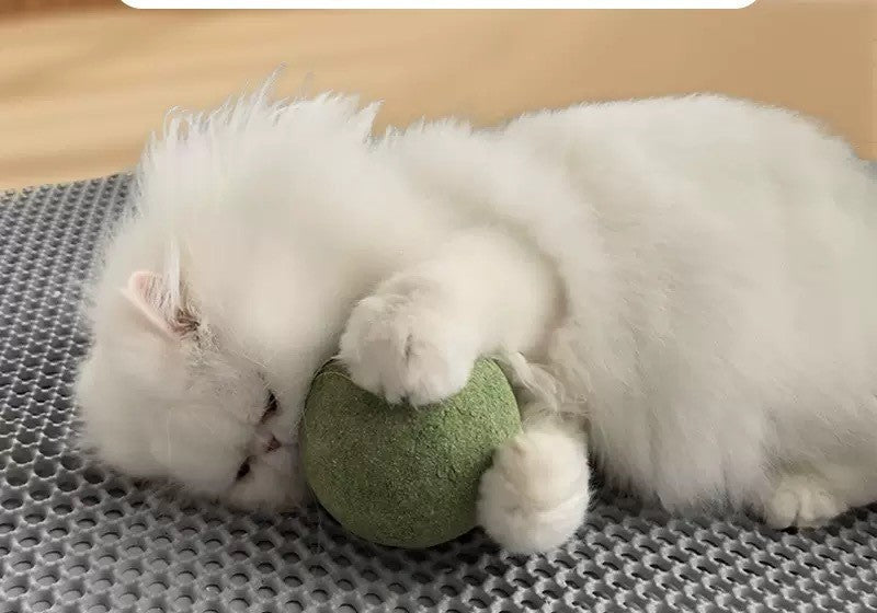 Giant 10cm Catnip Ball — Natural Chew & Play Toy