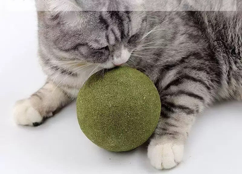 Giant 10cm Catnip Ball — Natural Chew & Play Toy