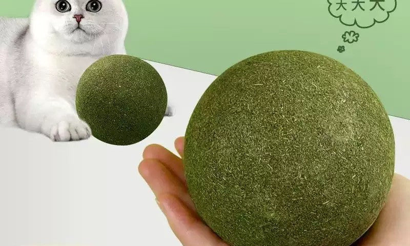 Giant 10cm Catnip Ball — Natural Chew & Play Toy