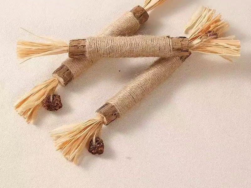 Silvervine Chew Sticks 3-Pack — Natural Cat Dental Toy